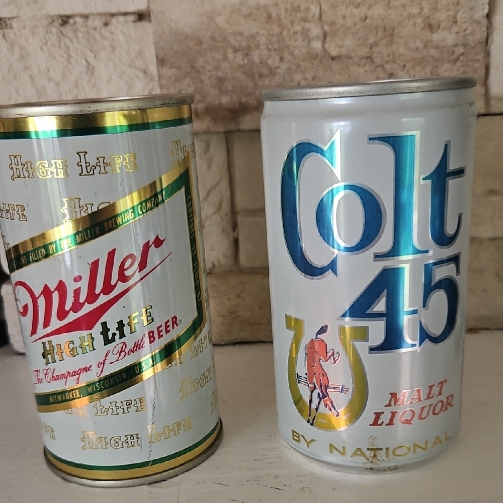 Set of 2 Beer Can Banks